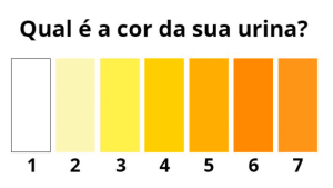 urina amarela cor da urina urina escura urina roxa urina laranja urina muito amarela urina vermelha