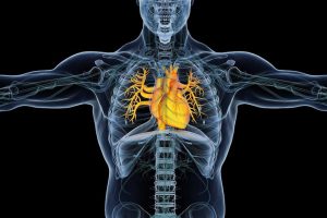 Ressonância magnética cardíaca onde fazer