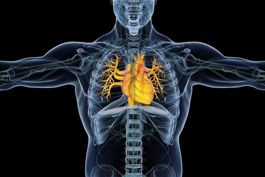 Ressonância magnética cardíaca onde fazer
