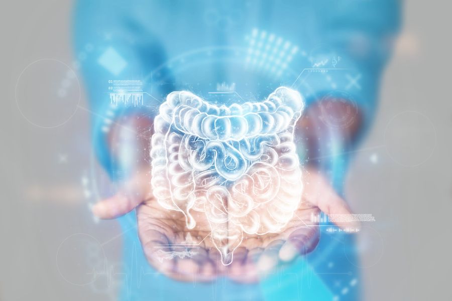 Mãos segurando ilustração de intestino.
